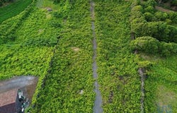São Roque do Pico, Ilha do Pico 9940-107