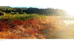 Merufe, Viana do Castelo District