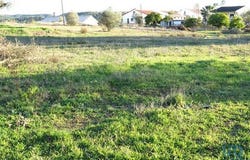 Tomar, Santarém 2305-101