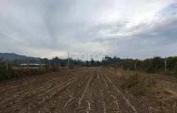 Trofa, Porto District