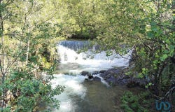 Leiria, Leiria District