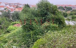 Sintra (Santa Maria E São Miguel), Lisbon 2710
