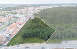 Moreira, Porto District