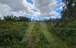 Aguada de Baixo, Aveiro District