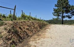Leiria, Leiria District