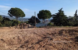Santa Bárbara De Nexe, Algarve 8005
