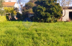 São Pedro De Tomar, Santarém 2300