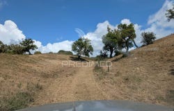 Grândola e Santa Margarida da Serra, Grândola, Setubal 7570