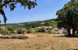 Leiria, Leiria District