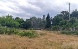 Fafe, Braga