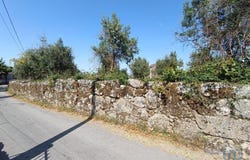 Vinhó, Guarda 6290