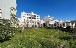 Loule, Faro
