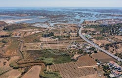 Faro, Faro