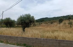 Salgueiro do Campo, Castelo Branco District