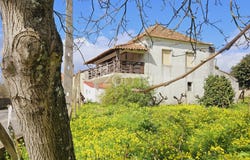 Sertã, Castelo Branco District