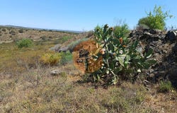 Faro, Algarve 8950