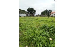 Olival, Santarém District