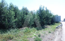 Cacia, Aveiro District