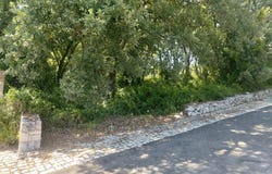 Leiria, Leiria District
