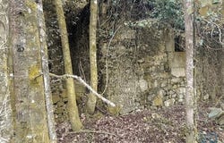 Valença, Viana do Castelo 4930-522