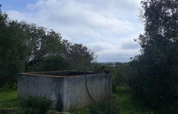 Quelfes, Algarve 8700
