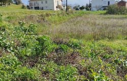 Pombal, Leiria District