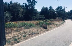 Povolide, Viseu District