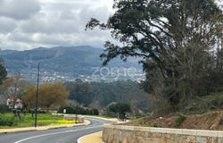 Ponte de Lima, Viana do Castelo District