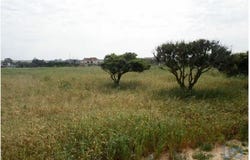 Alcochete, Setúbal 2890-151