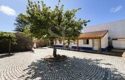 Roliça, Leiria District