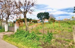 Alpiarça, Santarém 2090