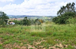 Caldas da Rainha, Leiria District