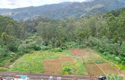 Sao Jorge, Madeira 9230