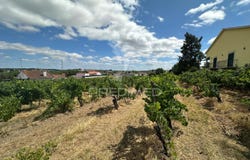 Alcanhões, Santarém, Santarém District 2000