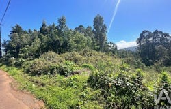 Sao Jorge, Madeira 9230