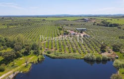 Fronteira, Portalegre 7460