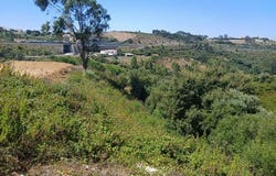 Mafra, Lisboa