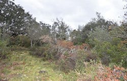 Ferreira do Zêzere, Santarém 2240-300