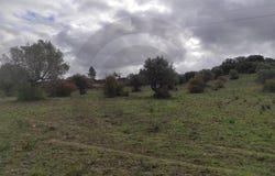 Pedrógão, Santarém District