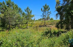 Beja, Beja District