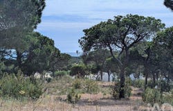 Almancil, Algarve 8135