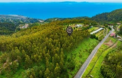 Gaula, Madeira 9100