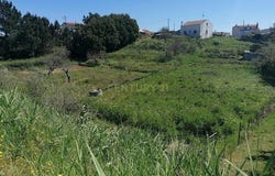 Tavarede, Coimbra District