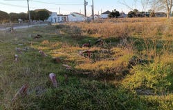 Raposa, Santarém District