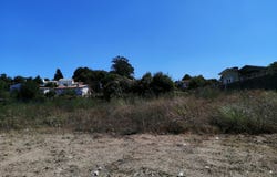 Oliveira de Azeméis, Aveiro District 3720