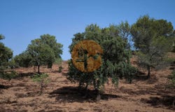 Faro, Algarve 8950