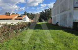 Cacia, Aveiro District
