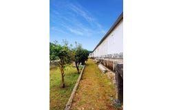 Vila Nova de Cerveira, Viana do Castelo 4920-070