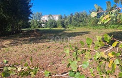 Vila Verde, Braga