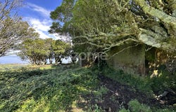 Nordeste, Azores